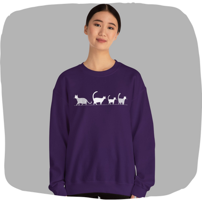 Pull en coton écolo – Chat en file indienne